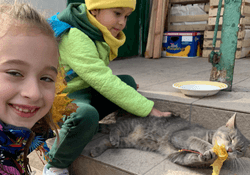 Testar stagingsajt 12